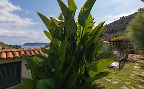 Italianway - Fontanelle 34